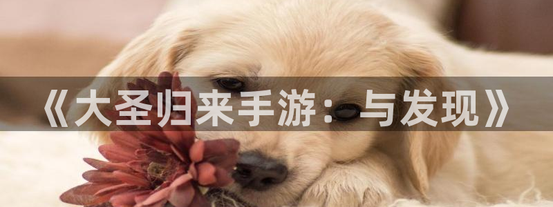 恒盛娱乐：《大圣归来手游：与发现》