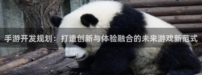 恒盛娱乐：手游开发规划：打造创新与体验融合的未来游戏新范式