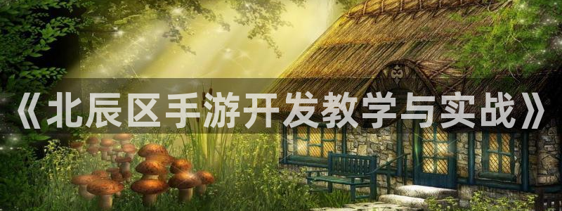 恒盛娱乐app：《北辰区手游开发教学与实战》