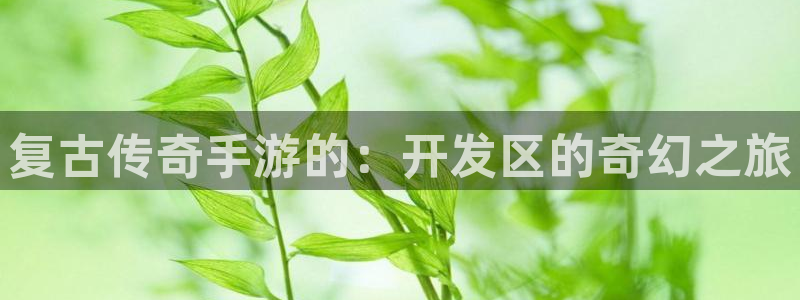 恒盛娱乐首页：复古传奇手游的：开发区的奇幻之旅