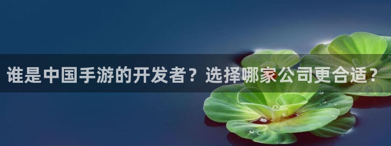 恒盛娱乐官网：谁是中国手游的开发者？选择哪家公司更合适？