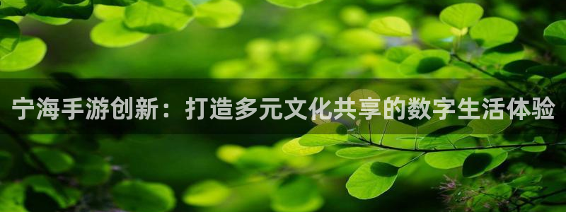 恒盛娱乐登陆：宁海手游创新：打造多元文化共享的数字生活体验