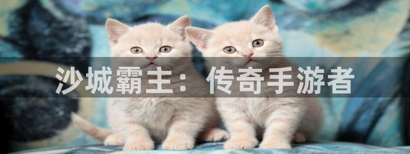 恒盛娱乐app：沙城霸主：传奇手游者