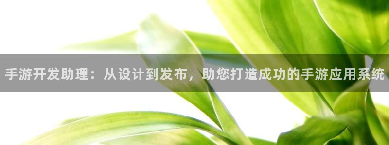 恒盛娱乐首页：手游开发助理：从设计到发布，助您打造成功的手游
