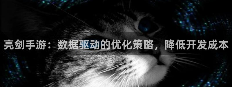 恒盛娱乐官网：亮剑手游：数据驱动的优化策略，降低开发成本