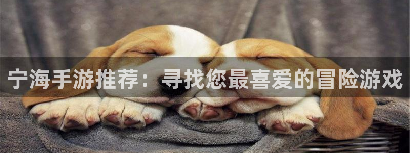 恒盛娱乐注册：宁海手游推荐：寻找您最喜爱的冒险游戏