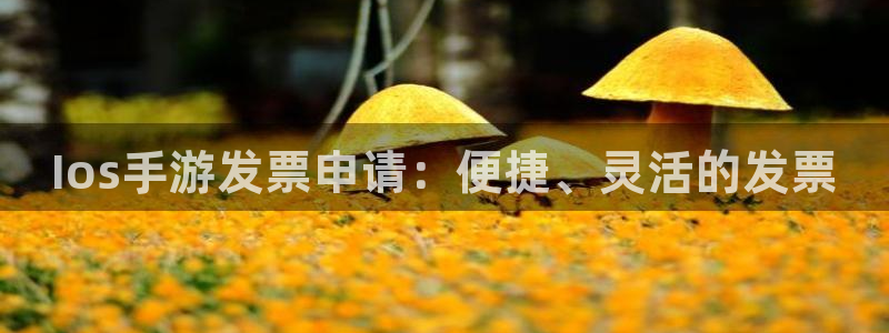 恒盛娱乐平台：Ios手游发票申请：便捷、灵活的发票