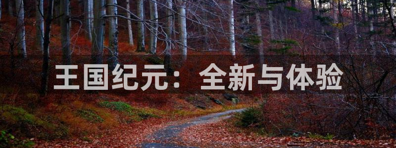 恒盛娱乐注册：王国纪元：全新与体验