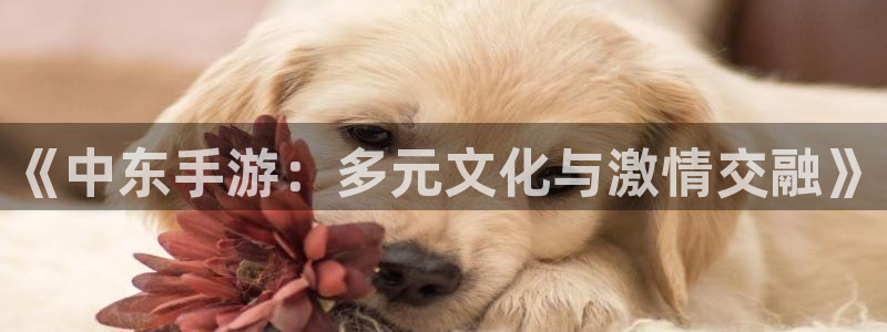 恒盛娱乐登陆：《中东手游：多元文化与激情交融》