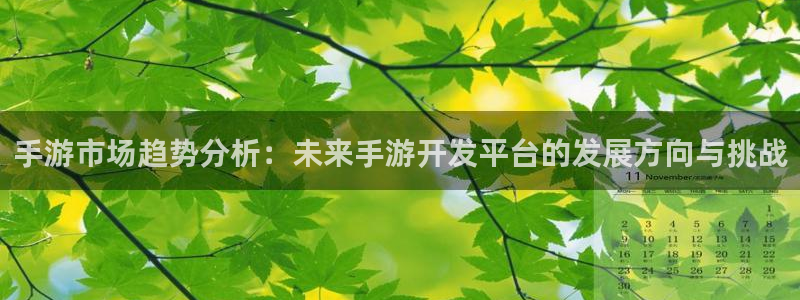 恒盛娱乐平台：手游市场趋势分析：未来手游开发平台的发展方向与