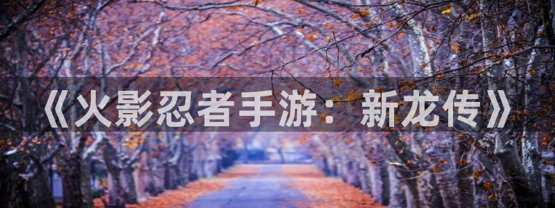 恒盛娱乐：《火影忍者手游：新龙传》