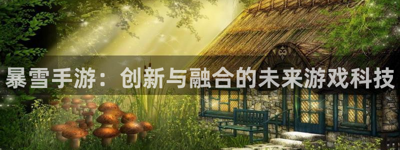恒盛娱乐平台:暴雪手游:创新与融合的未来游戏科技