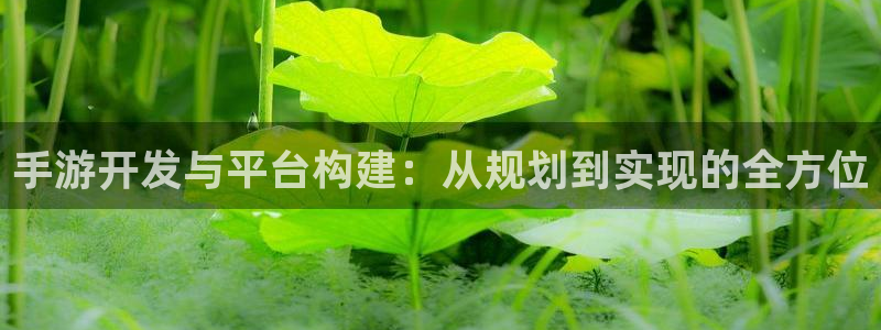 恒盛娱乐登录:手游开发与平台构建:从规划到实现的全方位