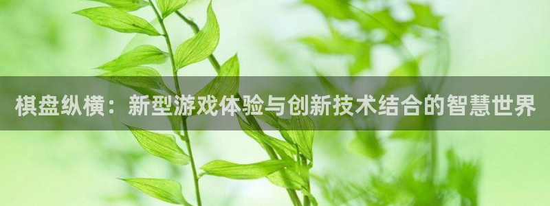 恒盛娱乐官网：棋盘纵横：新型游戏体验与创新技术结合的智慧世界