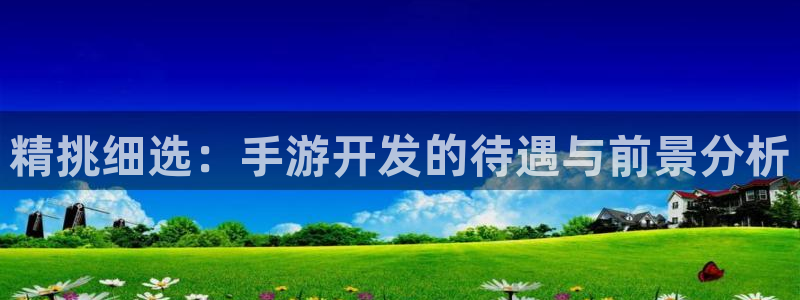 恒盛娱乐登陆：精挑细选：手游开发的待遇与前景分析