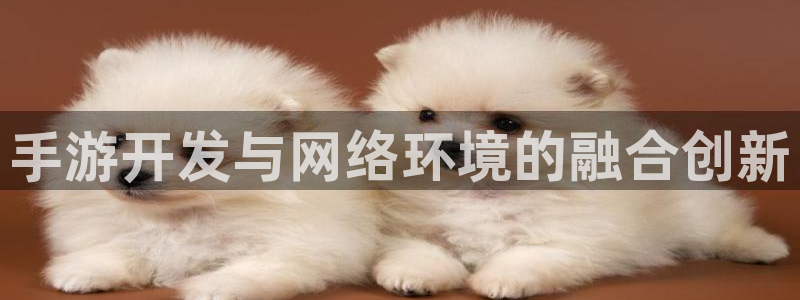 恒盛娱乐登陆:手游开发与网络环境的融合创新
