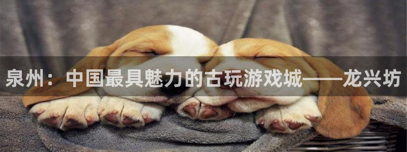 恒盛娱乐下载：泉州：中国最具魅力的古玩游戏城——龙兴坊