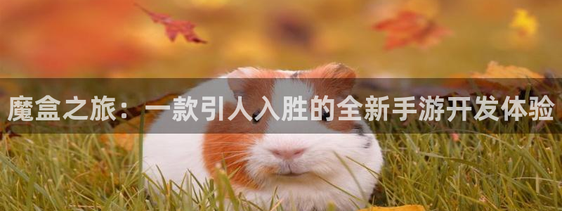 恒盛娱乐首页：魔盒之旅：一款引人入胜的全新手游开发体验