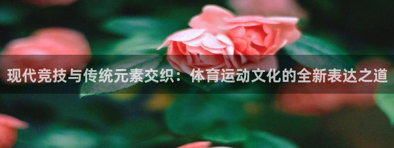 bbin视讯